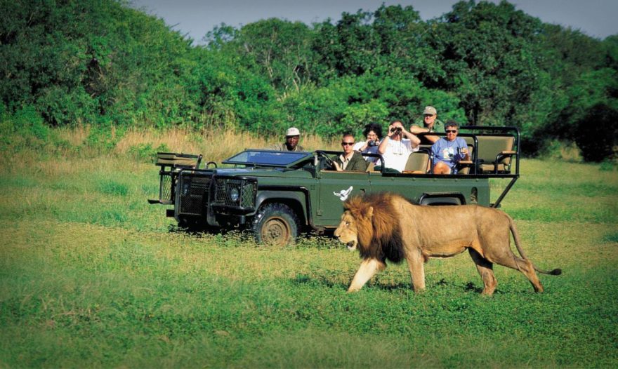 4-Days Kruger Safari & Panorama Route