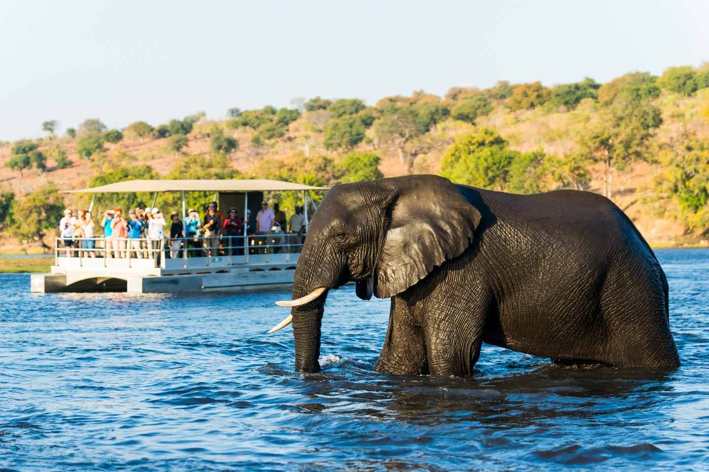 4-Days Victoria Falls & Chobe Safari