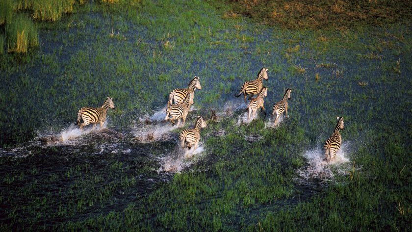 7-Days Victoria Falls, Chobe Safari & Okavango Delta