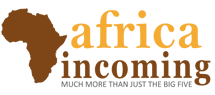 Africaincoming.co.za