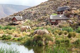 Aquila Private Game Reserve